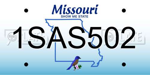 1SAS502 Missouri License Plate