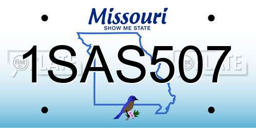 1SAS507 Missouri License Plate