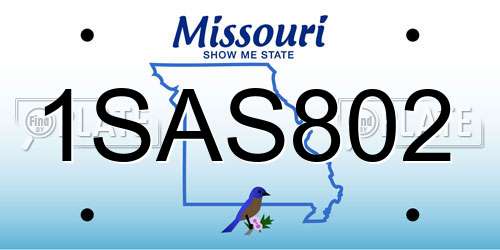 1SAS802 Missouri License Plate