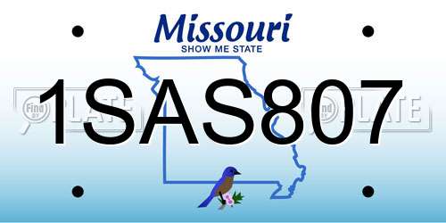 1SAS807 Missouri License Plate