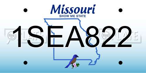 1SEA822 Missouri License Plate