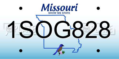 1SOG828 Missouri License Plate