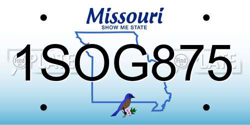 1SOG875 Missouri License Plate