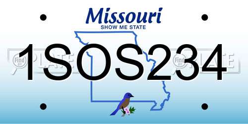 1SOS234 Missouri License Plate