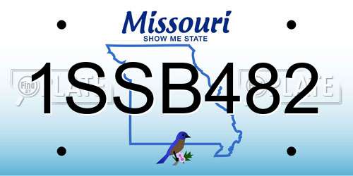 1SSB482 Missouri License Plate