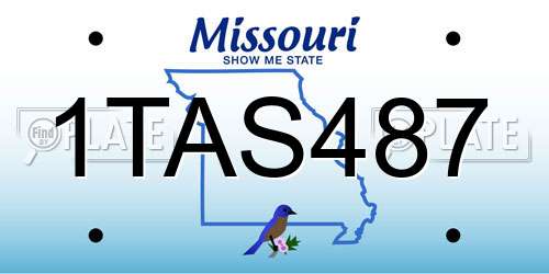 1TAS487 Missouri License Plate