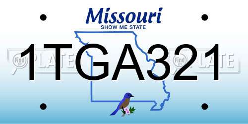1TGA321 Missouri License Plate