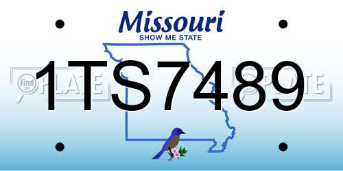 1TS7489 Missouri License Plate