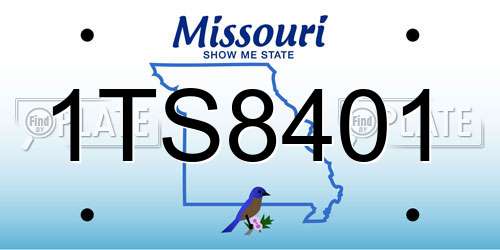 1TS8401 Missouri License Plate
