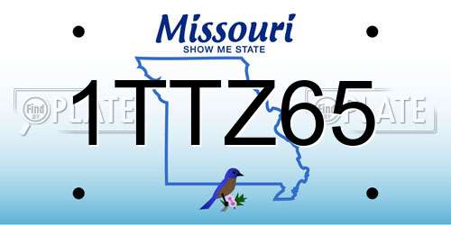 1TTZ65 Missouri License Plate