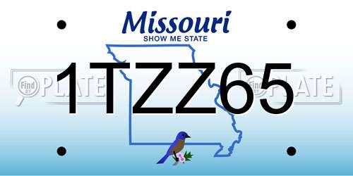 1TZZ65 Missouri License Plate