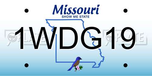 1WDG19 Missouri License Plate