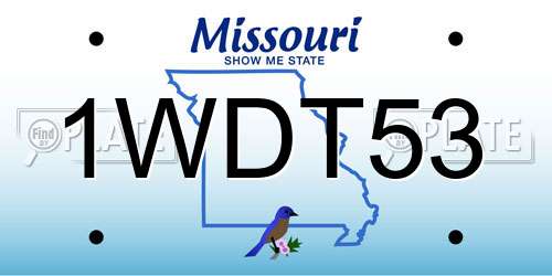 1WDT53 Missouri License Plate