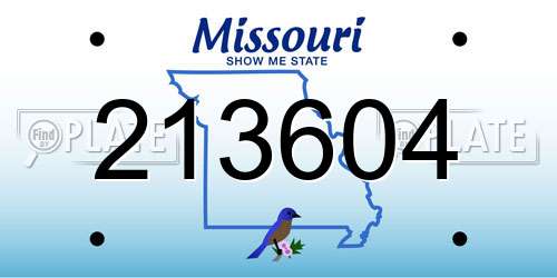213604 Missouri License Plate