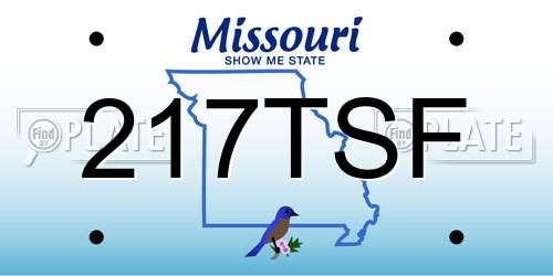 217TSF Missouri License Plate