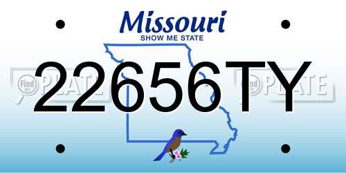22656TY Missouri License Plate