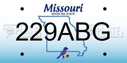 229ABG Missouri License Plate