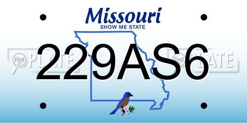 229AS6 Missouri License Plate