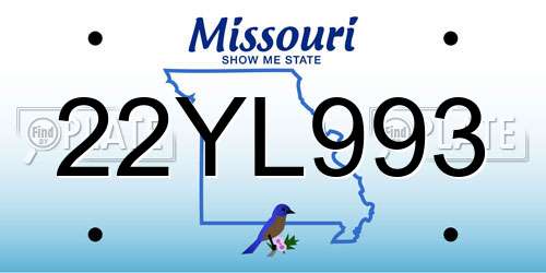 22YL993 Missouri License Plate