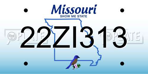 22ZI313 Missouri License Plate