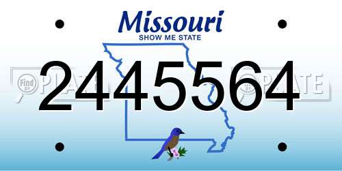 2445564 Missouri License Plate