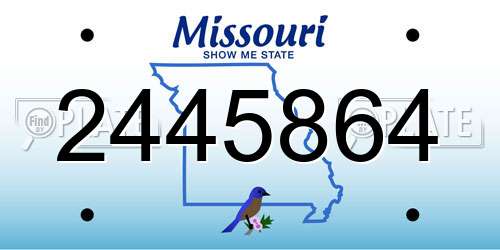 2445864 Missouri License Plate