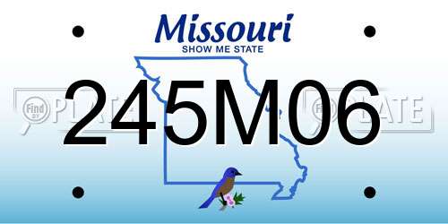 245M06 Missouri License Plate