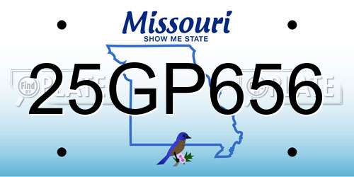 25GP656 Missouri License Plate