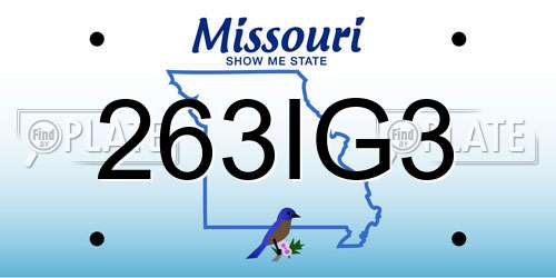 263IG3 Missouri License Plate