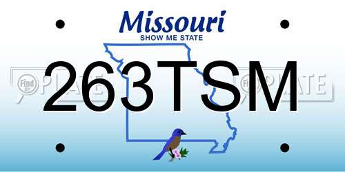 263TSM Missouri License Plate