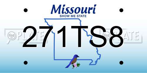 271TS8 Missouri License Plate
