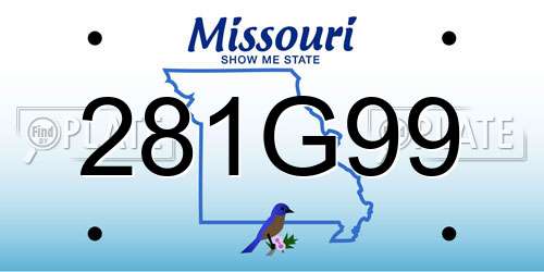 281G99 Missouri License Plate
