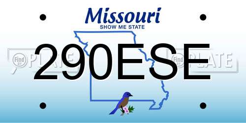 290ESE Missouri License Plate