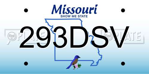 293DSV Missouri License Plate