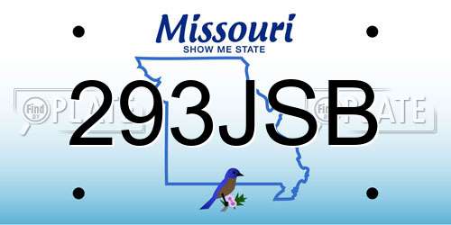 293JSB Missouri License Plate