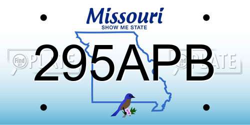 295APB Missouri License Plate