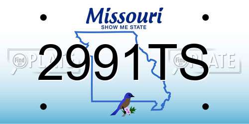 2991TS Missouri License Plate