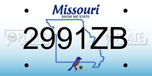 2991ZB Missouri License Plate