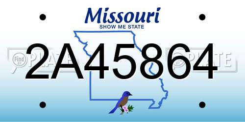 2A45864 Missouri License Plate