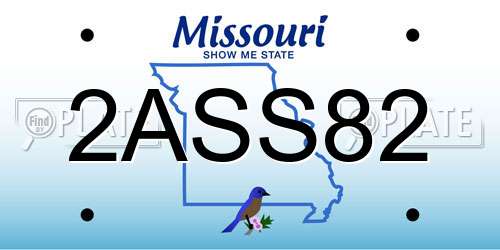 2ASS82 Missouri License Plate