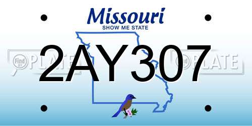 2AY307 Missouri License Plate