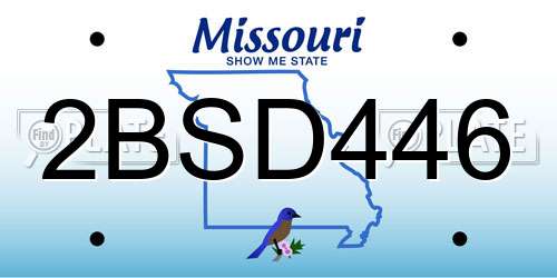 2BSD446 Missouri License Plate