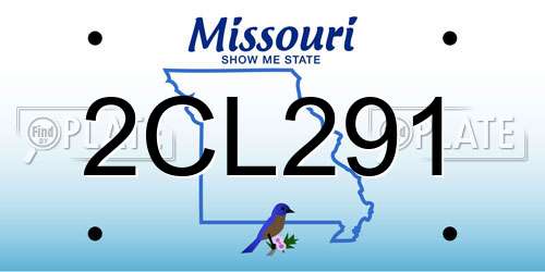 2CL291 Missouri License Plate
