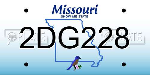 2DG228 Missouri License Plate
