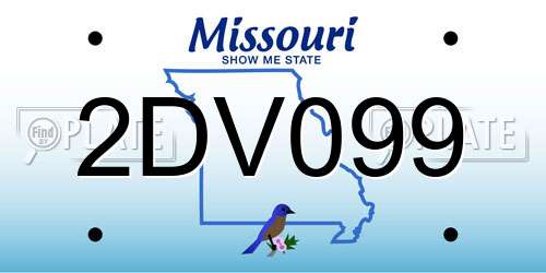 2DV099 Missouri License Plate
