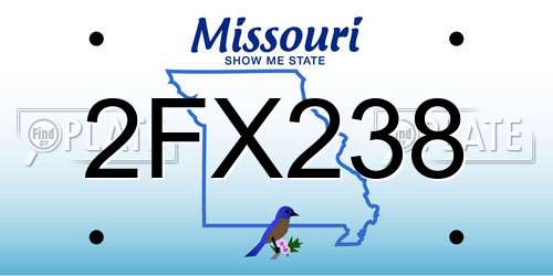 2FX238 Missouri License Plate