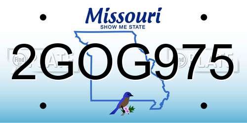2GOG975 Missouri License Plate