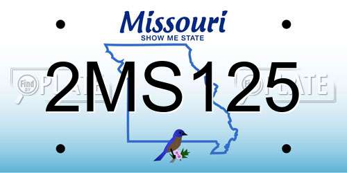 2MS125 Missouri License Plate