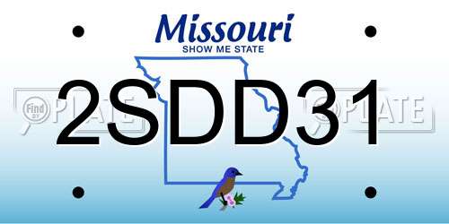 2SDD31 Missouri License Plate