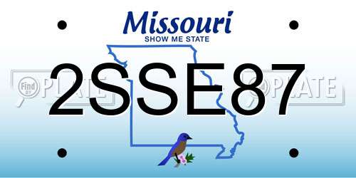 2SSE87 Missouri License Plate